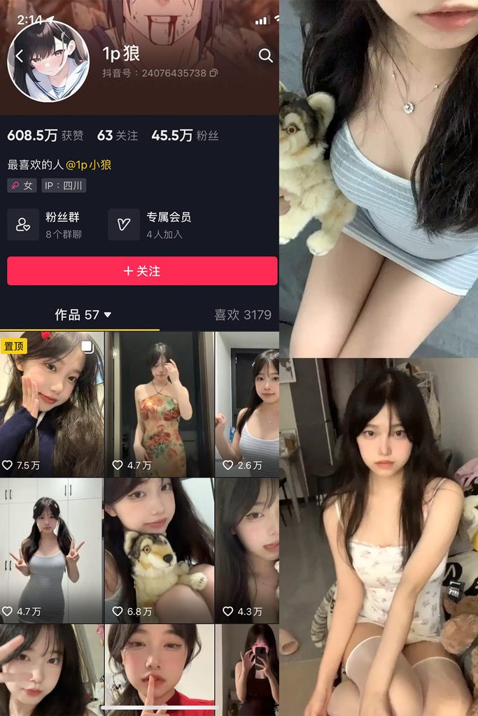 图片[1]-抖音 1p狼 微密圈 NO.003期 【21P11V】-MIYI