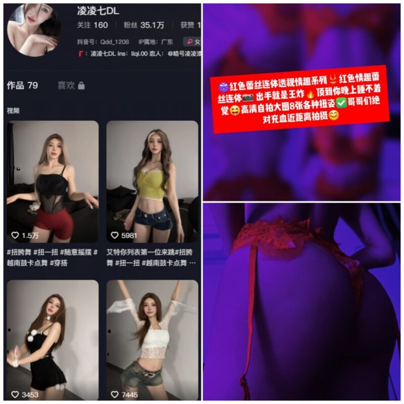 抖音 凌凌七DL 微密圈 NO.028期 【14P】-MIYI