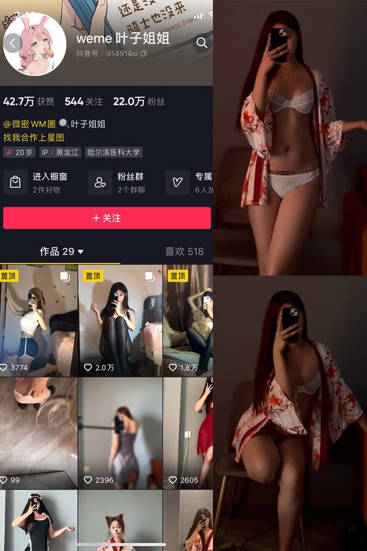 抖音 叶子姐姐 微密圈 NO.011期 【7V】-MIYI