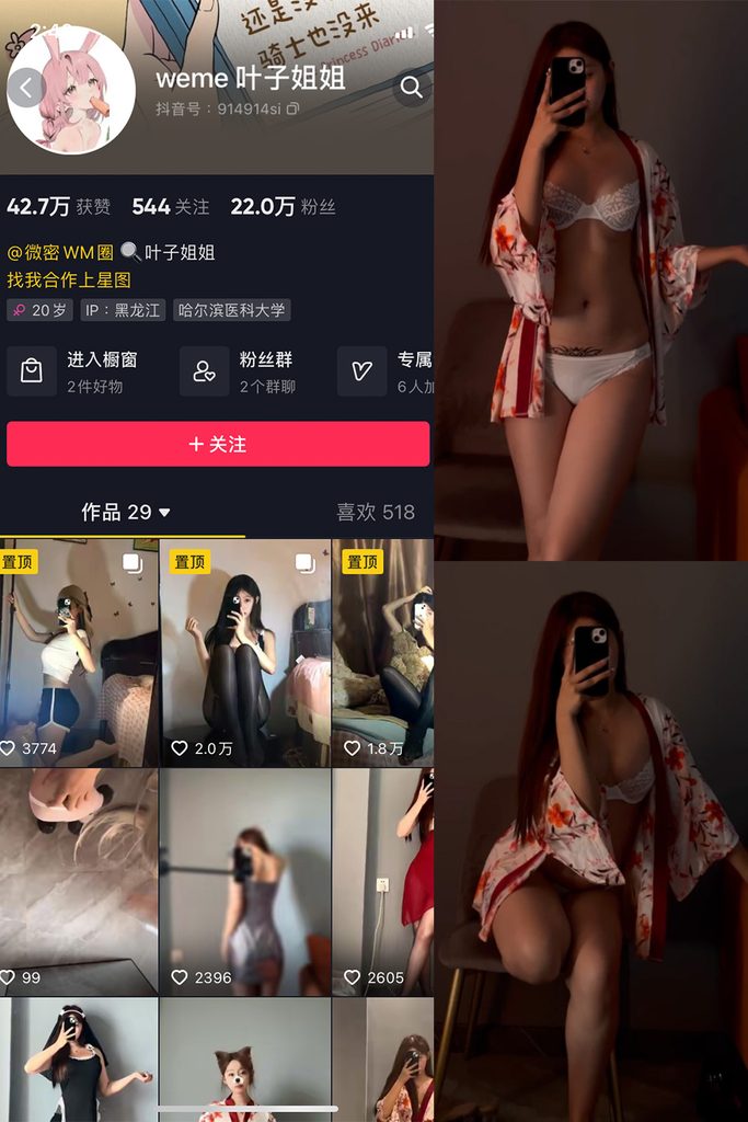 图片[1]-抖音 叶子姐姐 微密圈 NO.011期 【7V】-MIYI
