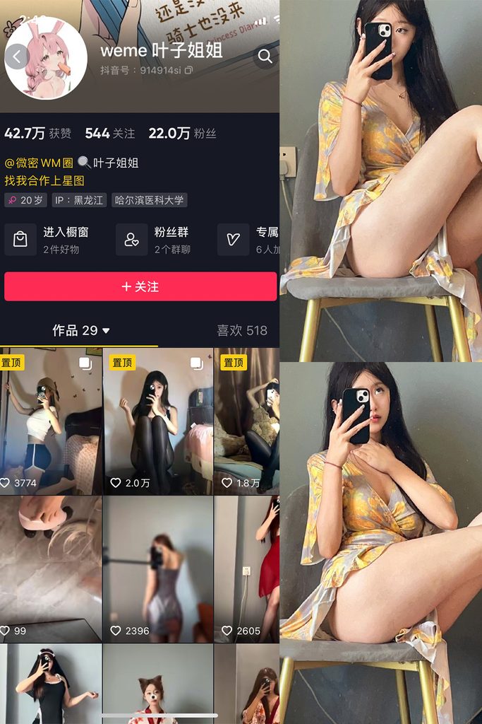 图片[1]-抖音 叶子姐姐 微密圈 NO.013期 【6P9V】-MIYI