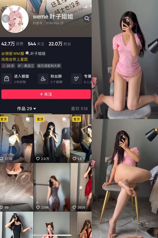 抖音 叶子姐姐 微密圈 NO.014期 【2P4V】-MIYI