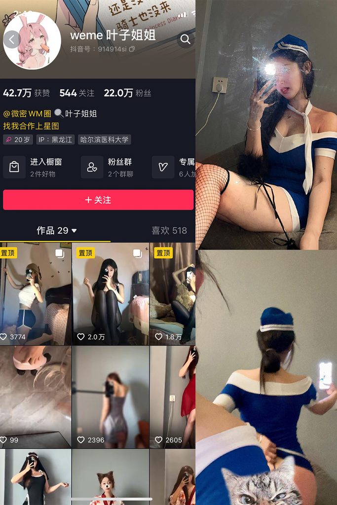图片[1]-抖音 叶子姐姐 微密圈 NO.016期 【13P3V】-MIYI