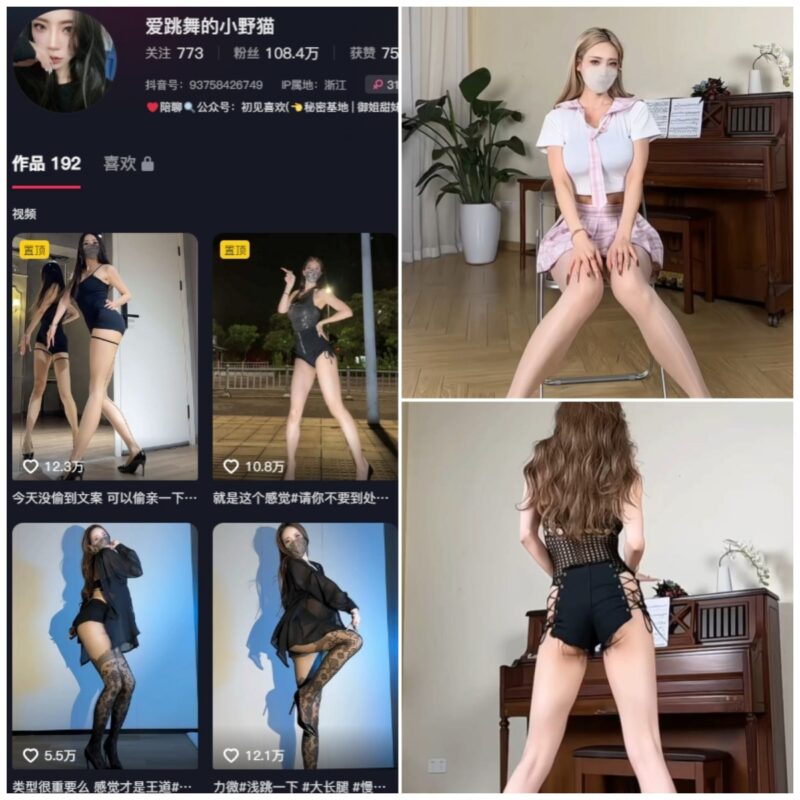 抖音 爱跳舞的小野猫 铁粉空间 NO.001-010期 【合集】-MIYI