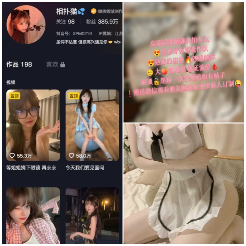 图片[1]-抖音 相扑猫 微密圈 NO.057期 【23P】-MIYI
