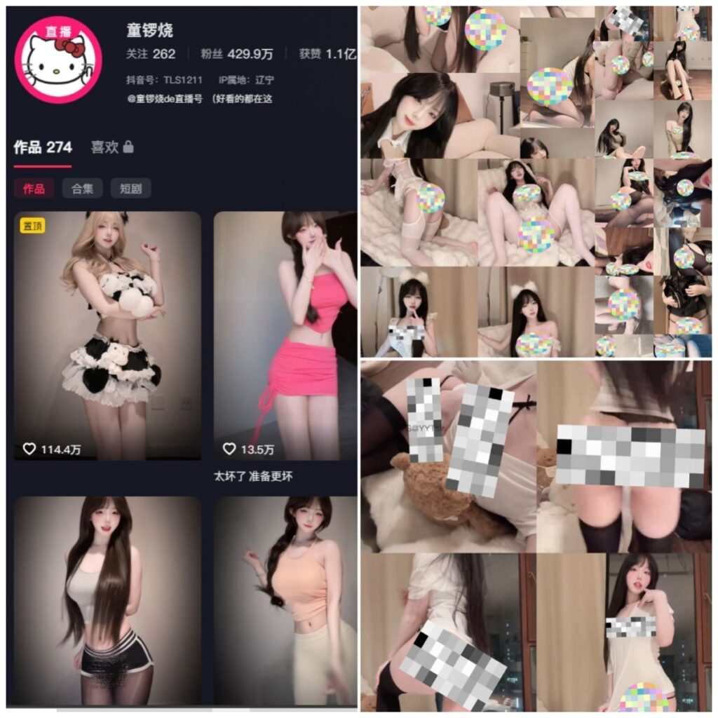 图片[1]-抖音 童锣烧 秘语空间 岛遇 NO.009期 【12P6V】-MIYI