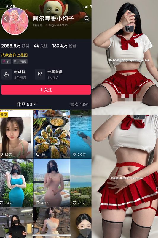 抖音 阿尔卑香小狗子 微密圈 1-37期-MIYI