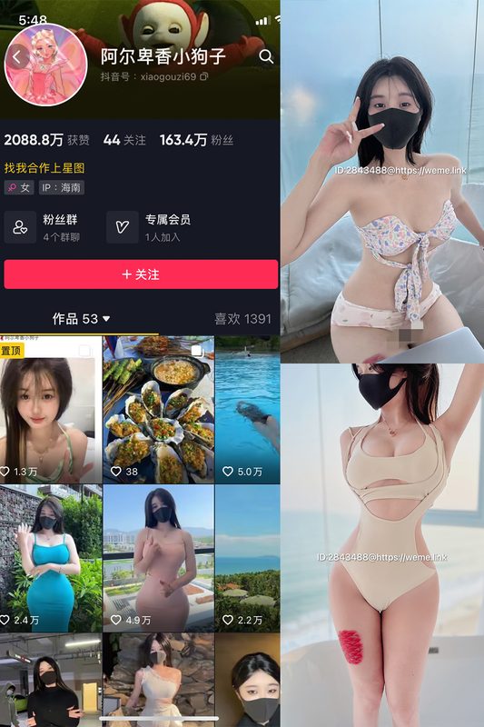 抖音 阿尔卑香小狗子 微密圈 NO.003期 【39P3V】-MIYI