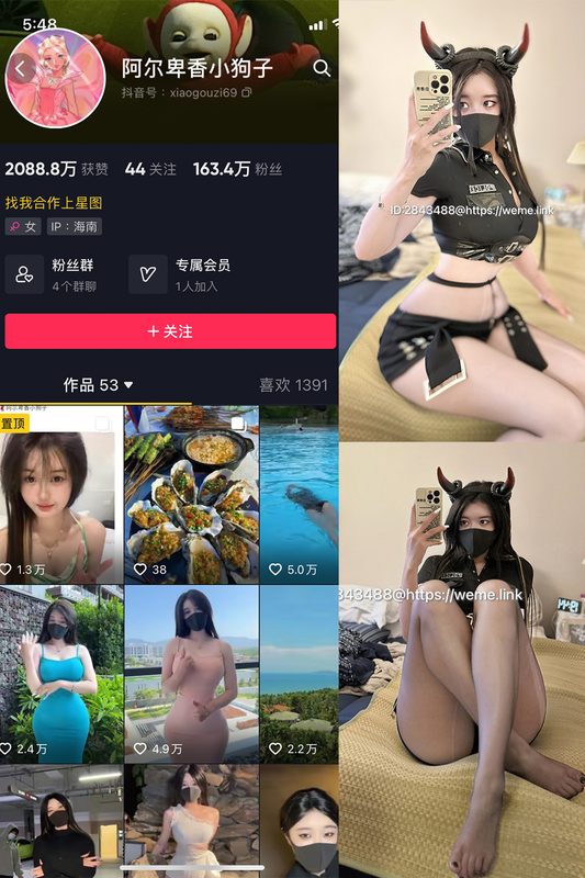 抖音 阿尔卑香小狗子 微密圈 NO.004期 【8P1V】-MIYI