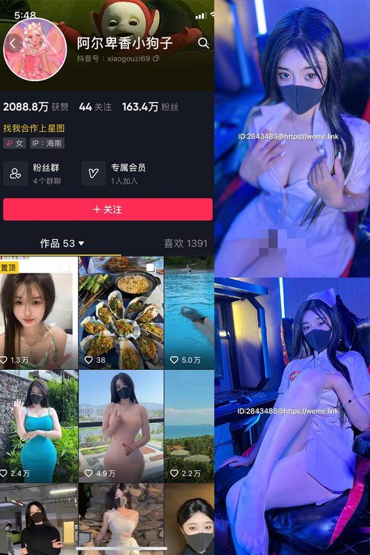 抖音 阿尔卑香小狗子 微密圈 NO.005期 【13P】-MIYI
