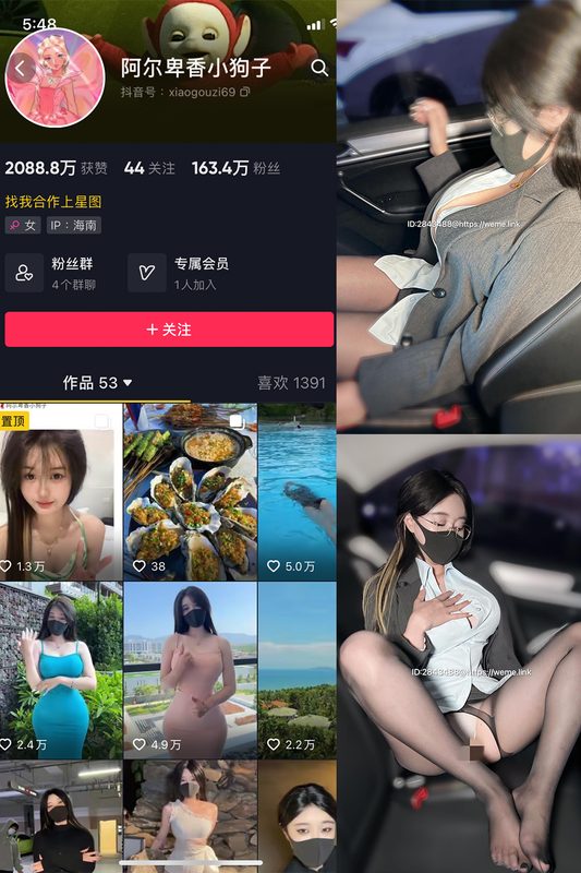 抖音 阿尔卑香小狗子 微密圈 NO.006期 【15P】-MIYI