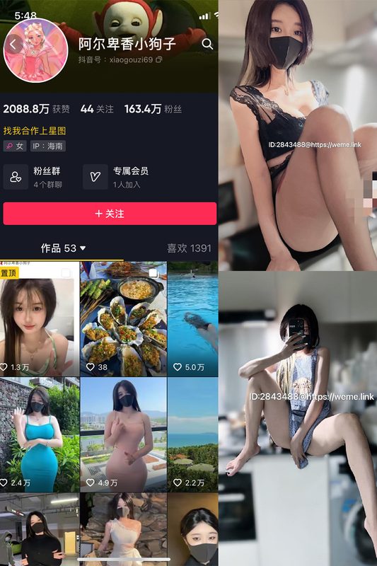 抖音 阿尔卑香小狗子 微密圈 NO.007期 【14P】-MIYI