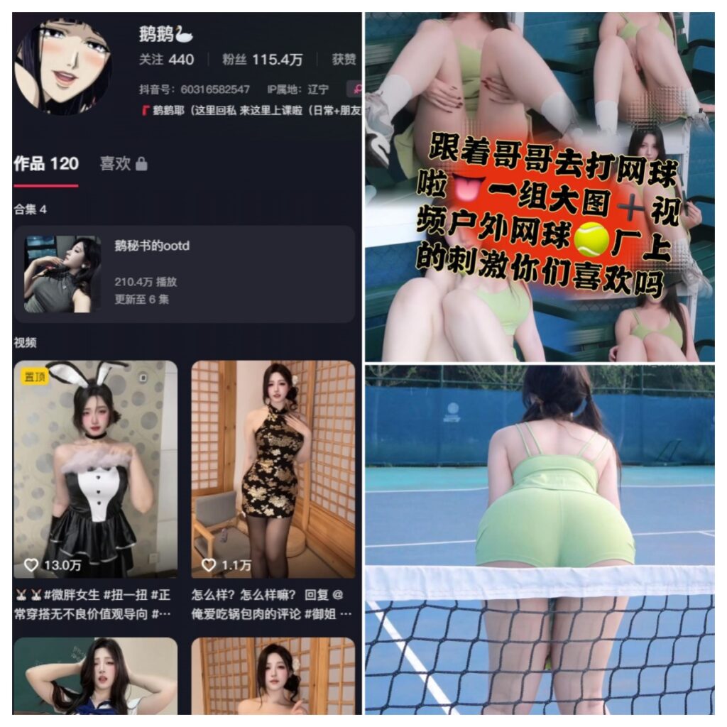 图片[1]-抖音 鹅鹅耶 微密圈 NO.030期 【22P2V】-MIYI