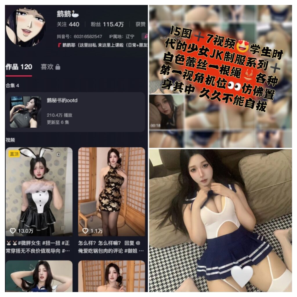 图片[1]-抖音 鹅鹅耶 微密圈 NO.046期 【32P10V】-MIYI