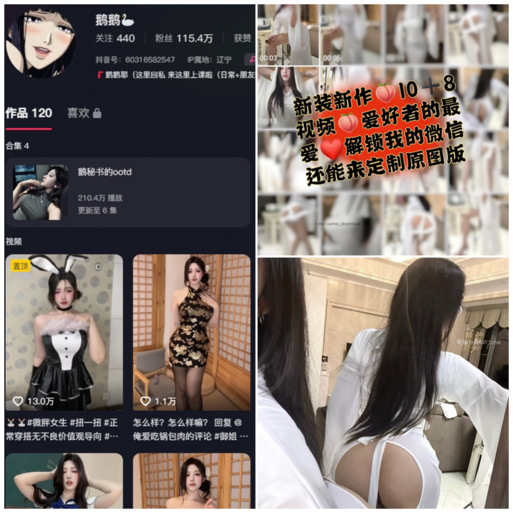 图片[1]-抖音 鹅鹅耶 微密圈 NO.049期 【21P10V】-MIYI