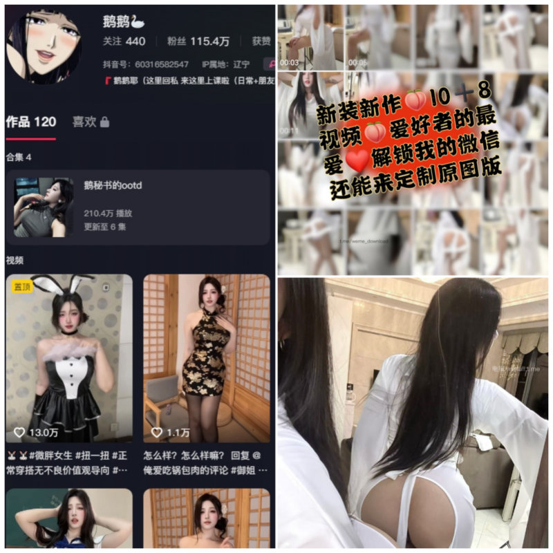 抖音 鹅鹅耶 微密圈 NO.049期 【21P10V】-MIYI
