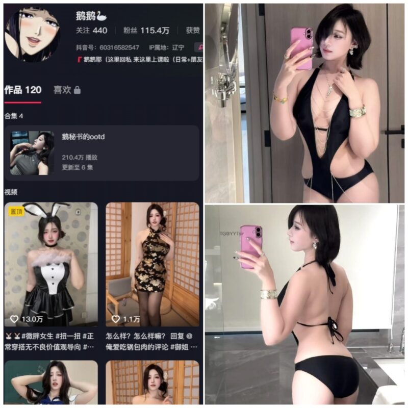 抖音 鹅鹅耶 微密圈 NO.054期 【10P4V】-MIYI