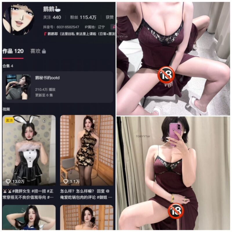 抖音 鹅鹅耶 微密圈 NO.057期 【19P6V】-MIYI