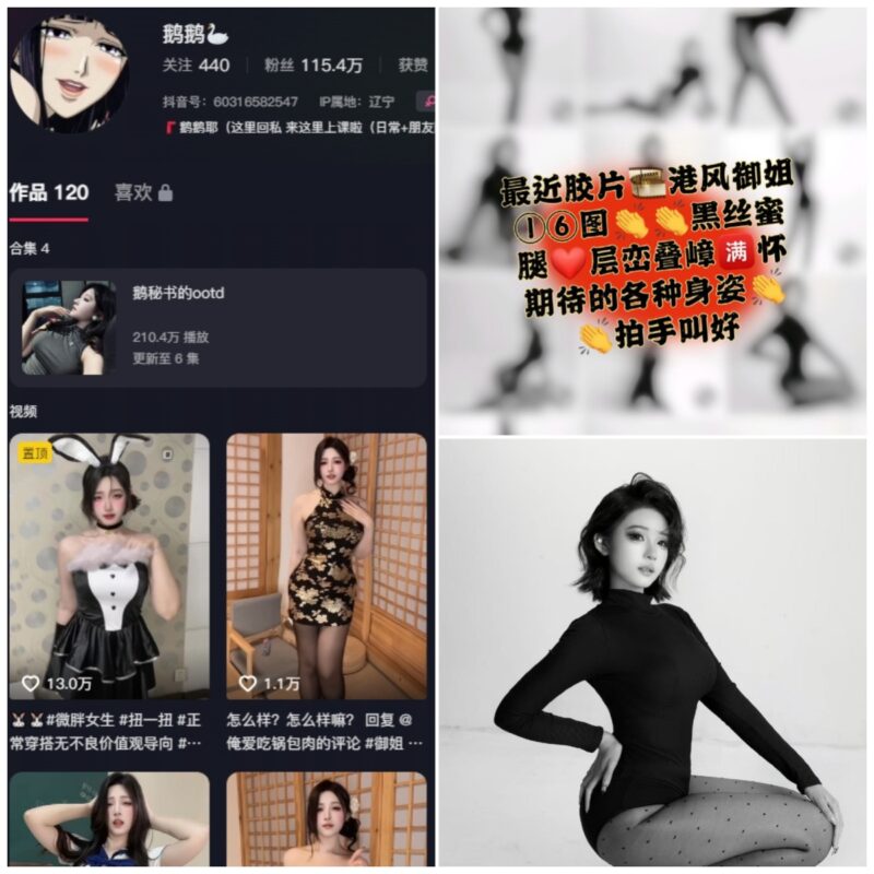 抖音 鹅鹅耶 微密圈 NO.061期 【14P】-MIYI