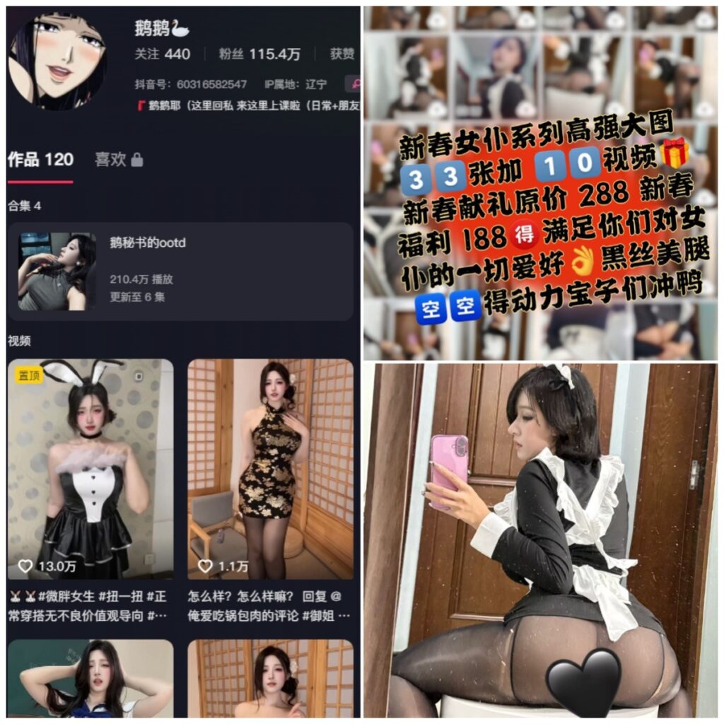 图片[1]-抖音 鹅鹅耶 微密圈 NO.062期 【43P10V】-MIYI