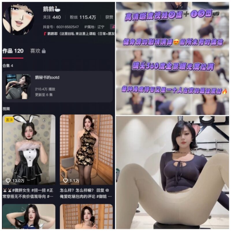 抖音 鹅鹅耶 微密圈 NO.064期 【16P9V】-MIYI