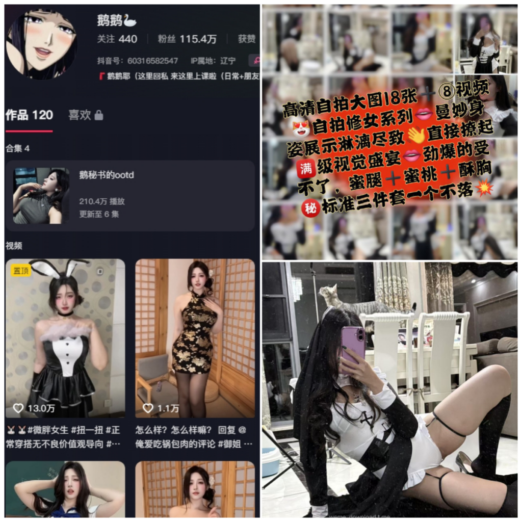 图片[1]-抖音 鹅鹅耶（纯种鹅鹅） 微密圈 NO.050期 【54P10V】-MIYI